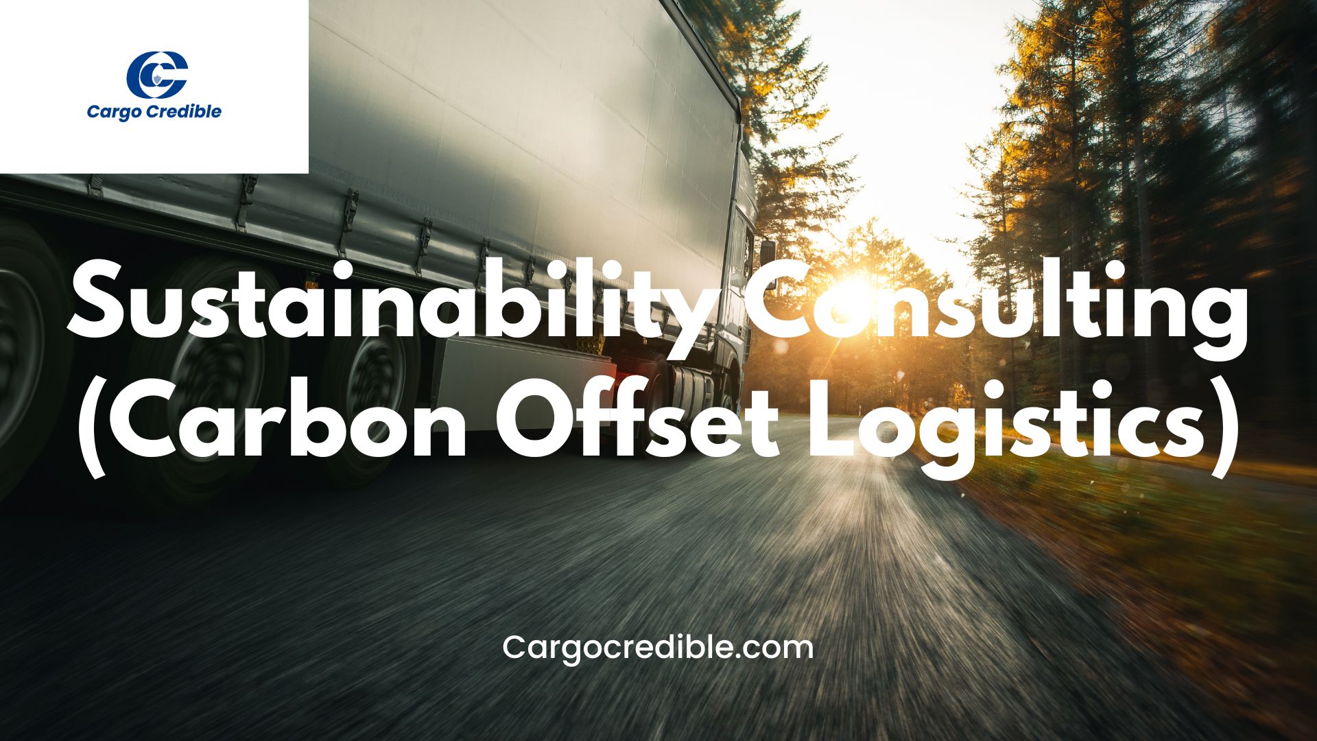 Sustainability Consulting (Carbon Offset Logistics) in the Trucking Industry
