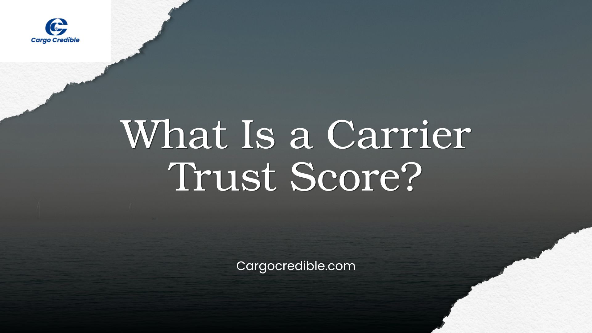 What Is a Carrier Trust Score?